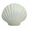 U.S. Shell Irish Deep Shell
