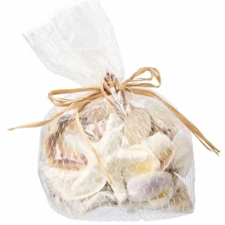 U.S. Shell Light Shell Mix with Starfish Gift Pack