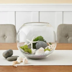 U.S. Shell Light Shell Mix with Starfish Gift Pack