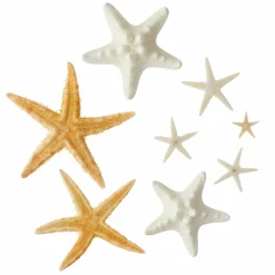 U.S. Shell Starfish Mix
