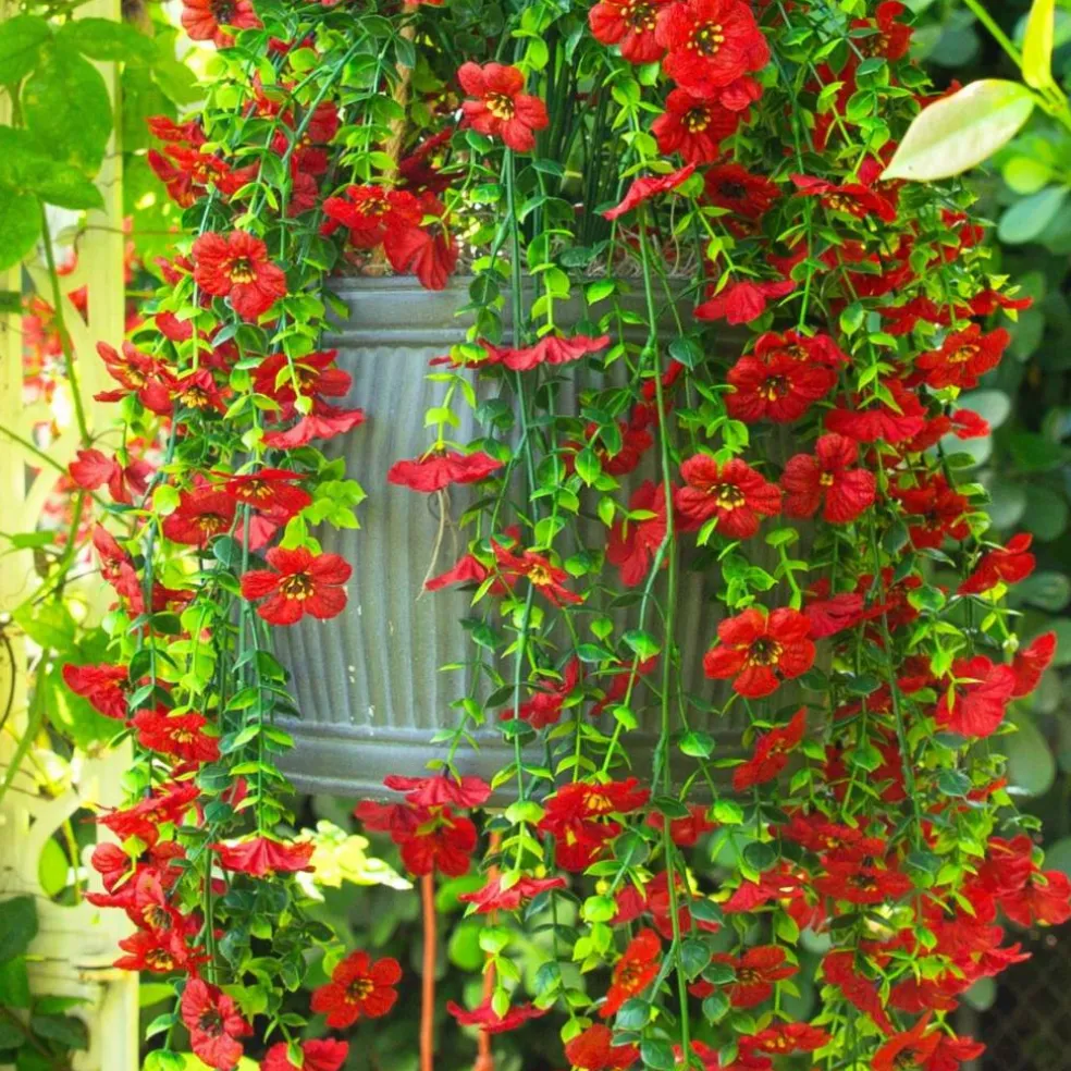 30" UV Resistant Artificial Daisy Hanging Bushes, 6ct.
