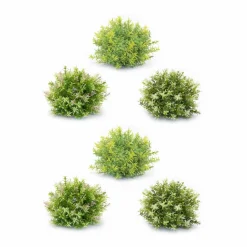 Variegated Mini Leaf Half Orbs, 6ct.