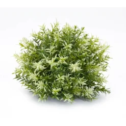 Variegated Mini Leaf Half Orbs, 6ct.