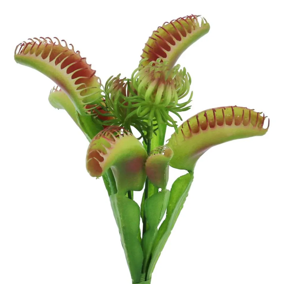 11" Venus Flytrap with Flower Pick by Ashland®