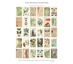 Vintage Collection Postcard Set: Pack of 30 Retro Style Botanical, Nature and Ephemera Postcards by Wintertime Crafts