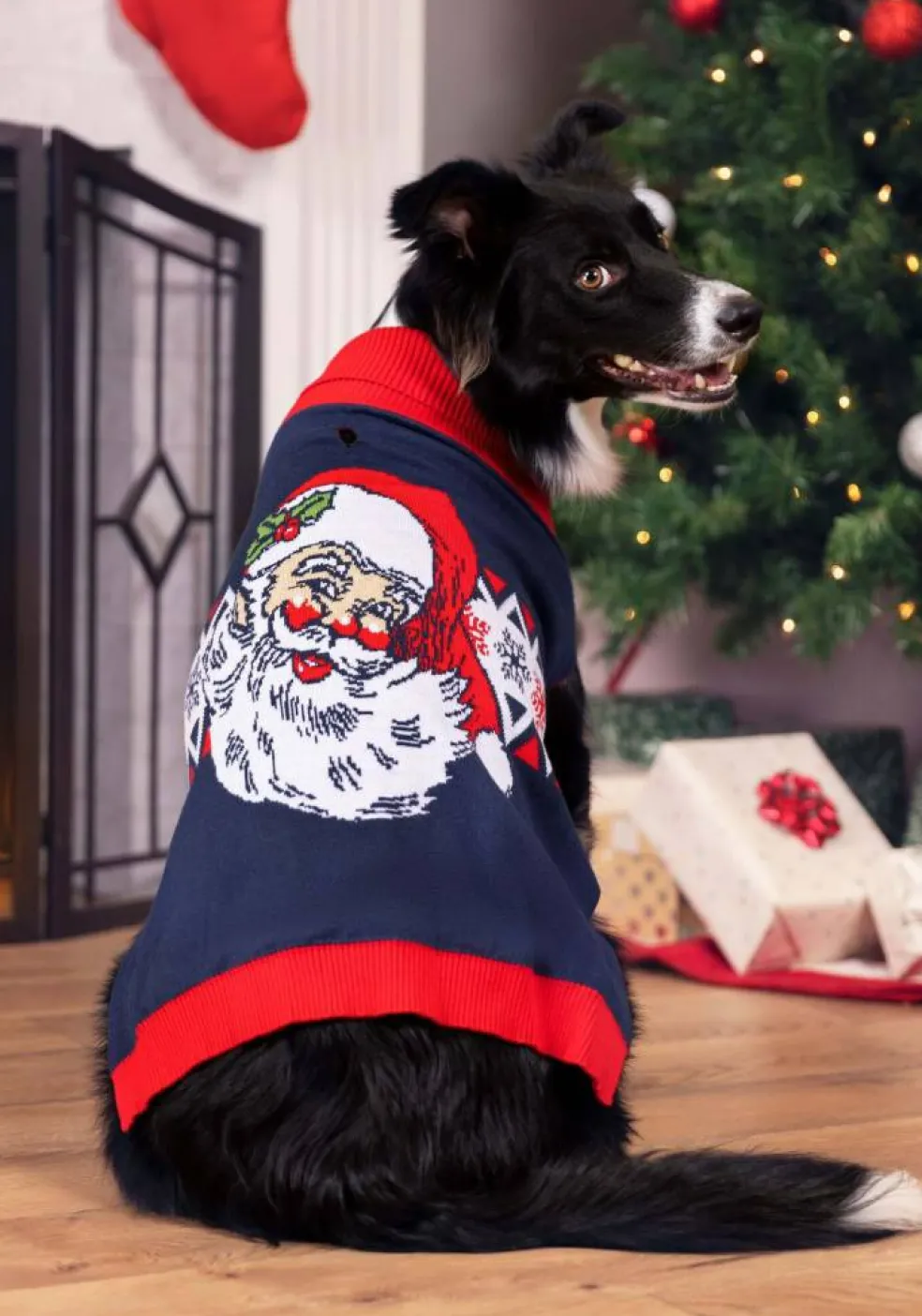 Vintage Santa Pet Sweater