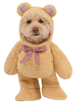 Walking Teddy Bear Dog Costume