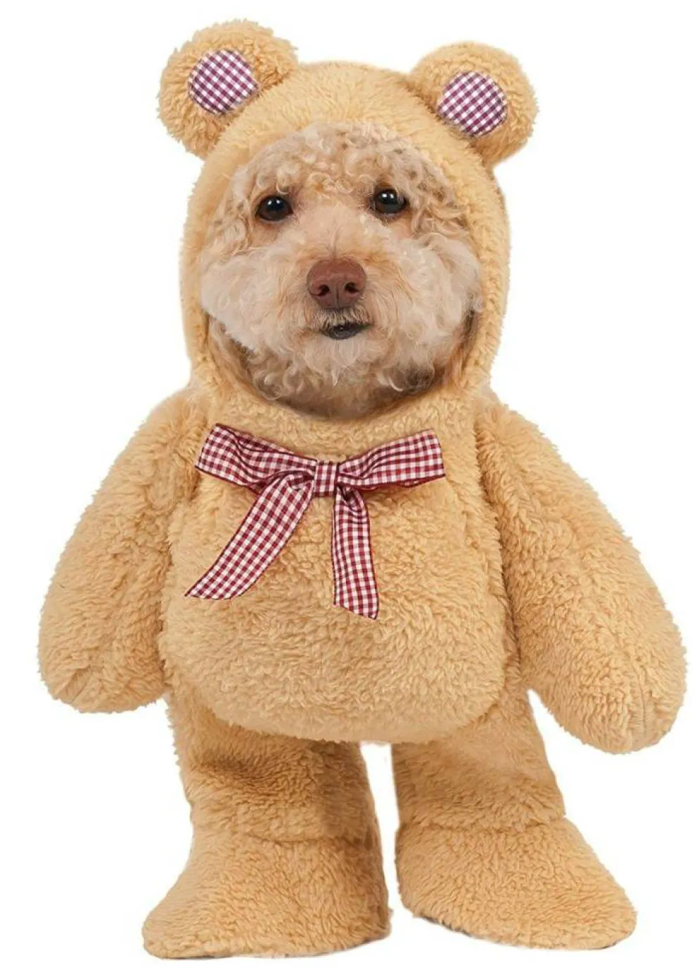 Walking Teddy Bear Dog Costume