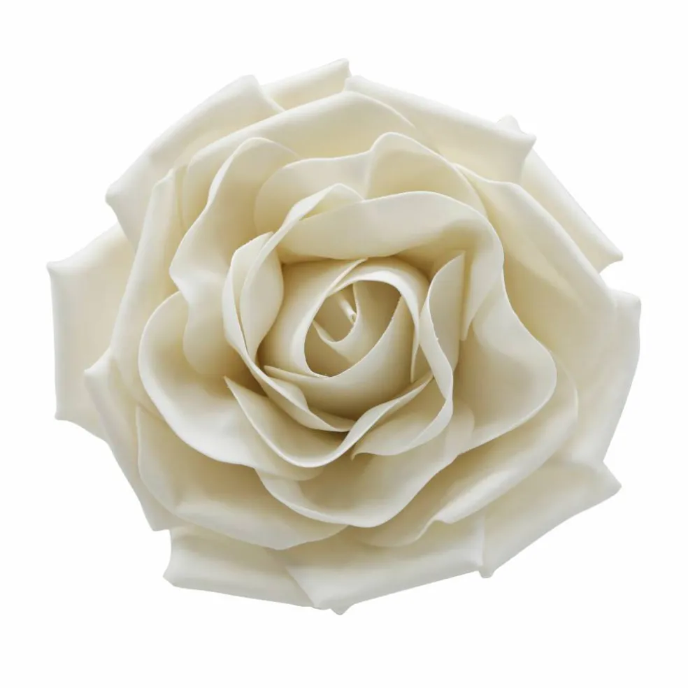 Wall Flower by Ashland®