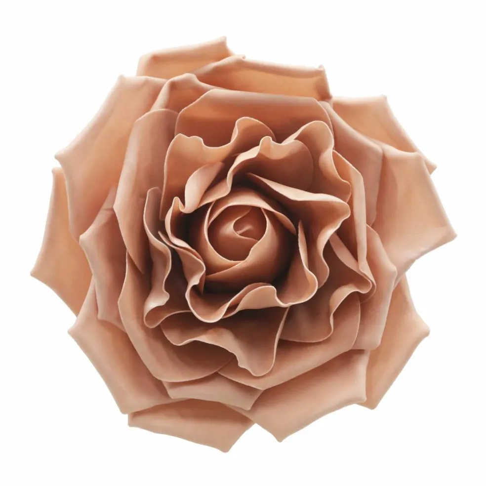 Wall Flower by Ashland®
