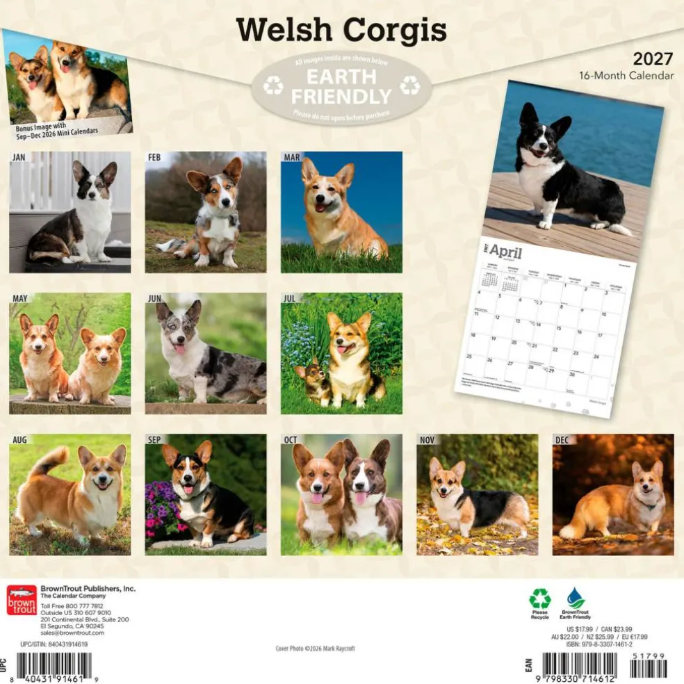 Welsh Corgis | 2027 12 x 24 Inch (Hanging) Monthly Square Wall Calendar | Plastic-Free