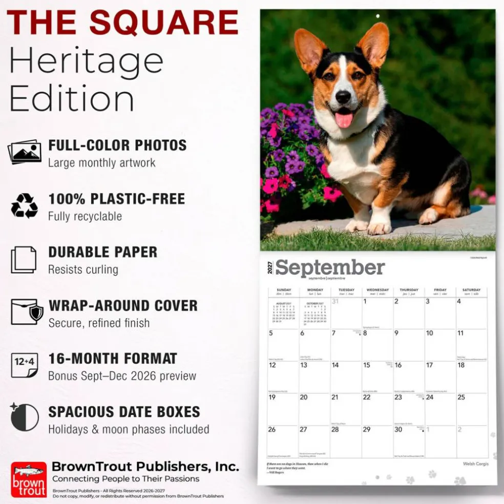 Welsh Corgis | 2027 12 x 24 Inch (Hanging) Monthly Square Wall Calendar | Plastic-Free