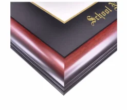 Western Illinois University 11w x 8.5h Gold Embossed Diploma Frame