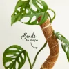 We The Wild™ 16" Coco Climber Bendable Extendable Grow Pole for Houseplants