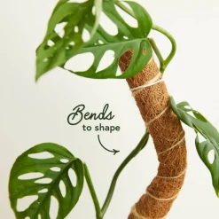 We The Wild™ 16" Coco Climber Bendable Extendable Grow Pole for Houseplants