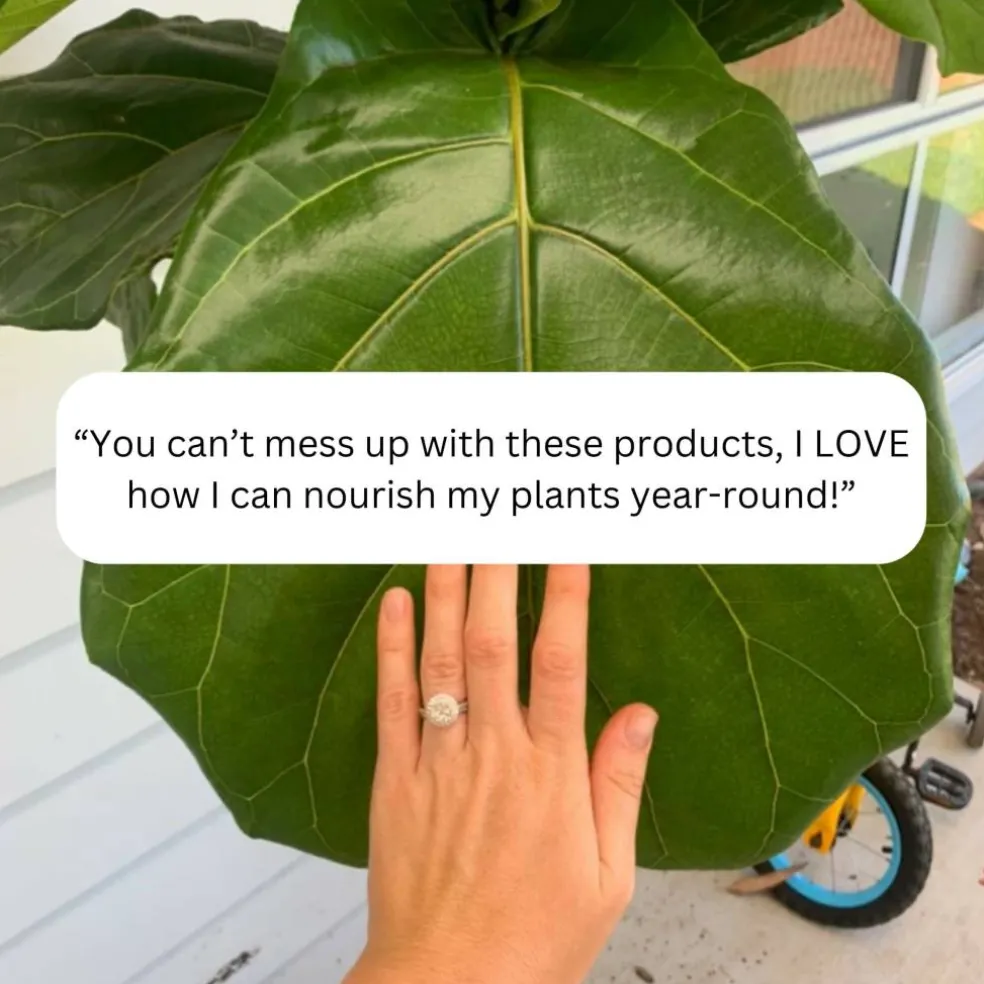 We The Wild™ Houseplant Essentials Kit Organic Easy 3-Step Care