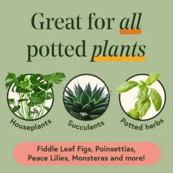 We The Wild™ Houseplant Essentials Kit Organic Easy 3-Step Care
