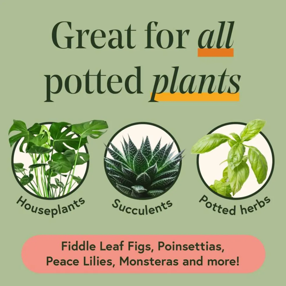 We The Wild™ Houseplant Essentials Kit Organic Easy 3-Step Care