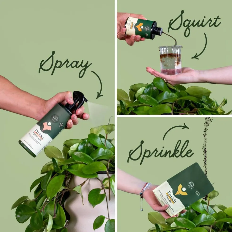 We The Wild™ Houseplant Essentials Kit Organic Easy 3-Step Care