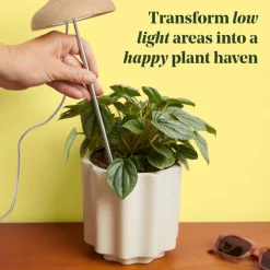 We The Wild™ Instant Sun Full Spectrum LED Grow Lamp for Houseplants