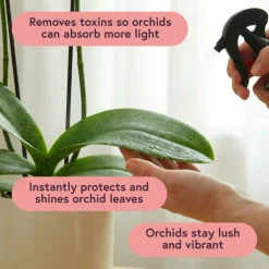 We The Wild™ Orchid Care Essentials Kit