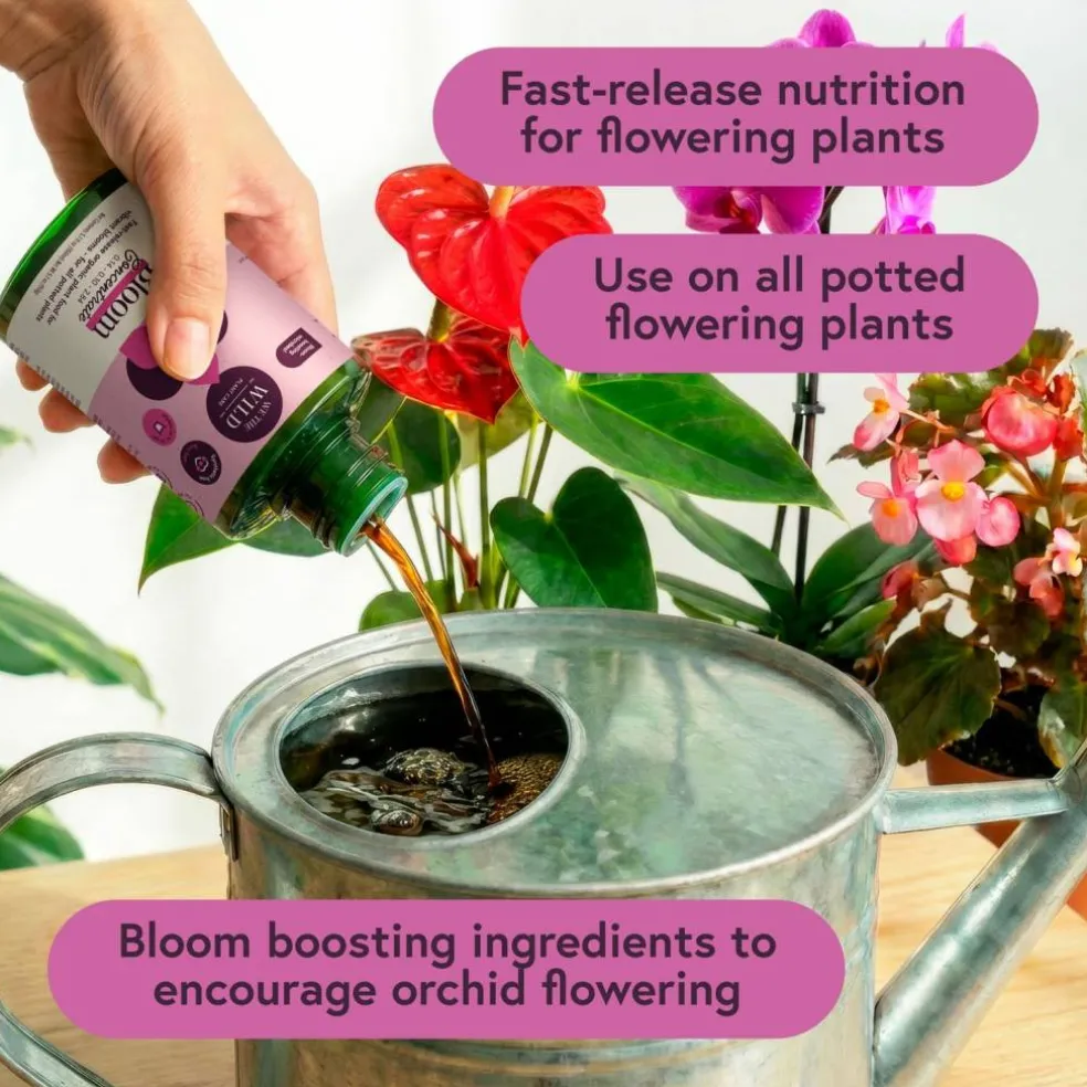 We The Wild™ Orchid Care Essentials Kit