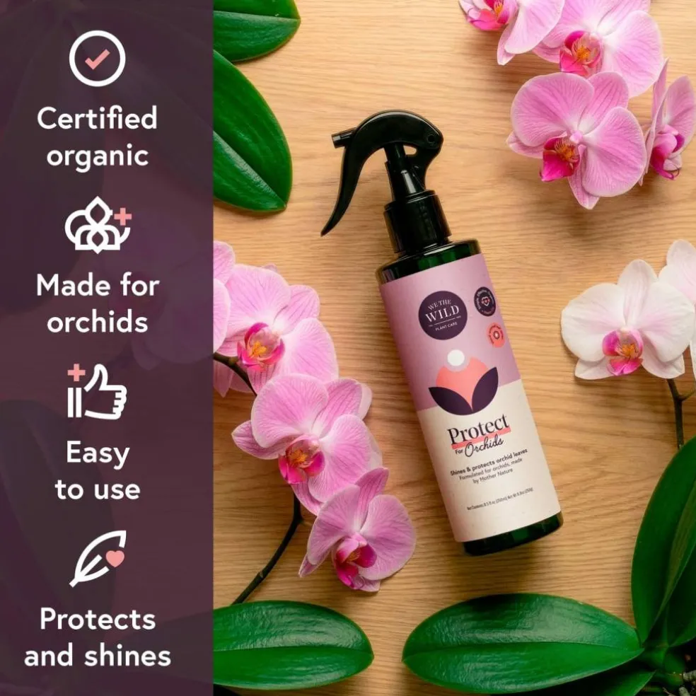 We The Wild™ Orchid Care Essentials Kit