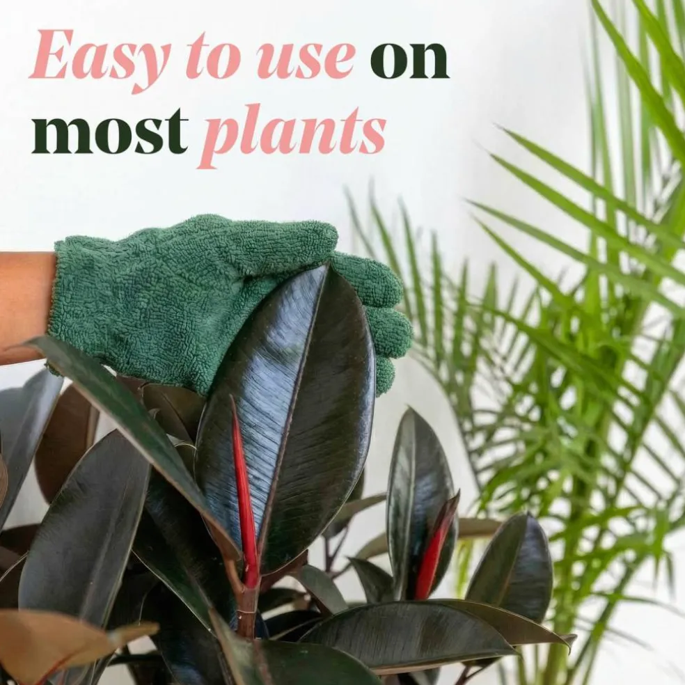 We The Wild™ 8.5oz. Protect Spray Organic Botanical Leaf Shine & Care for Houseplants