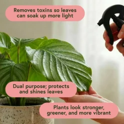 We The Wild™ 8.5oz. Protect Spray Organic Botanical Leaf Shine & Care for Houseplants