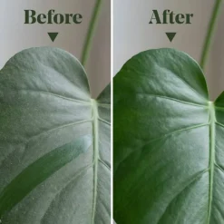 We The Wild™ 8.5oz. Protect Spray Organic Botanical Leaf Shine & Care for Houseplants