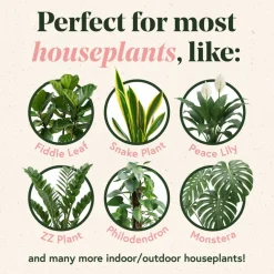 We The Wild™ 8.5oz. Protect Spray Organic Botanical Leaf Shine & Care for Houseplants