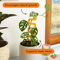 We The Wild™ 11" Powder-Coated Steel Modern Design Grow Pole for Houseplants