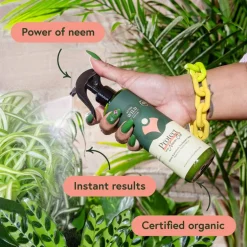 We The Wild™ Proud Plant Mum Leaf Care Kit