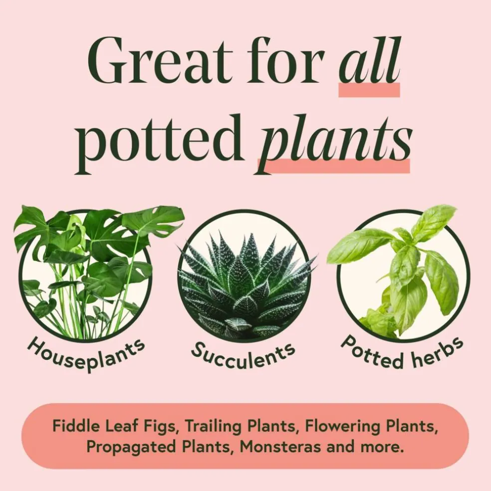 We The Wild™ Proud Plant Mum Leaf Care Kit