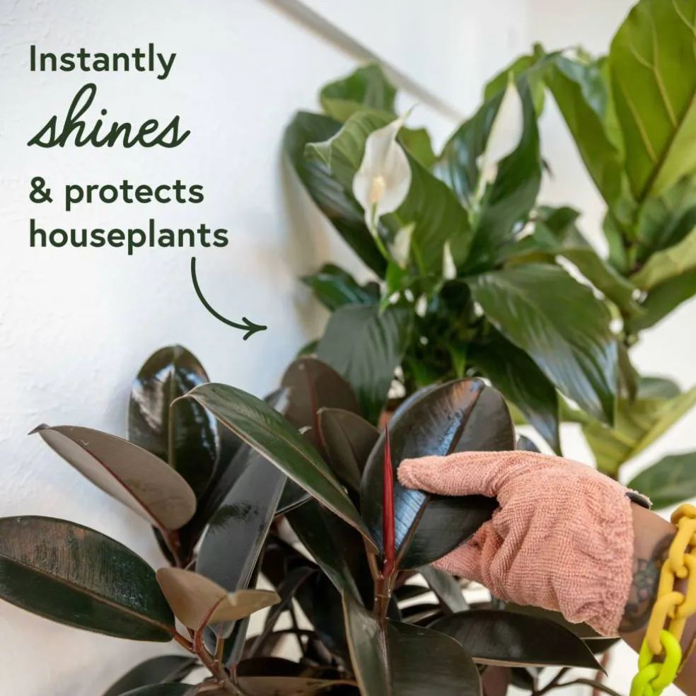 We The Wild™ Proud Plant Mum Leaf Care Kit