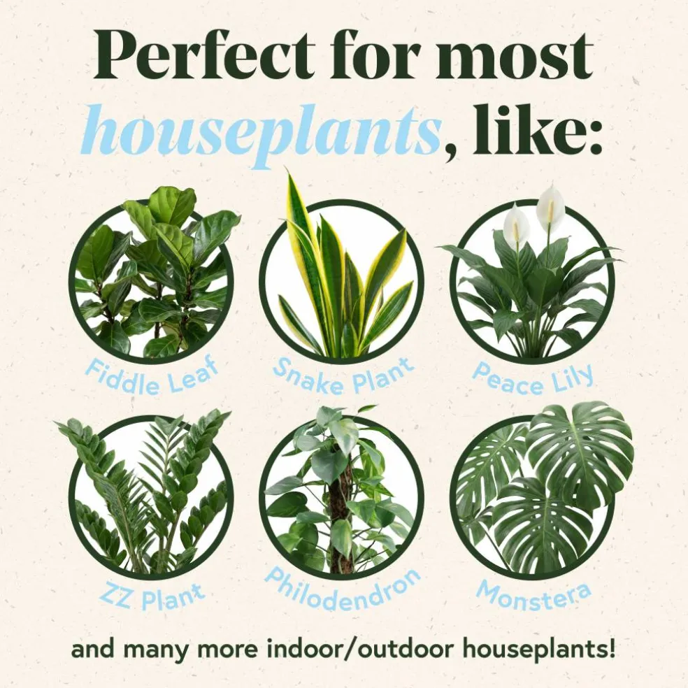 We The Wild™ Self-Watering Plant Globes