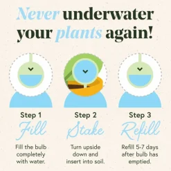 We The Wild™ Self-Watering Plant Globes