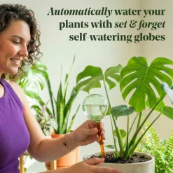 We The Wild™ Self-Watering Plant Globes