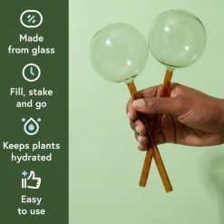 We The Wild™ Self-Watering Plant Globes