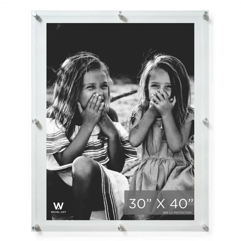 Wexel Art Double Panel Clear Acrylic Floating Wall Frame with Silver Hardware