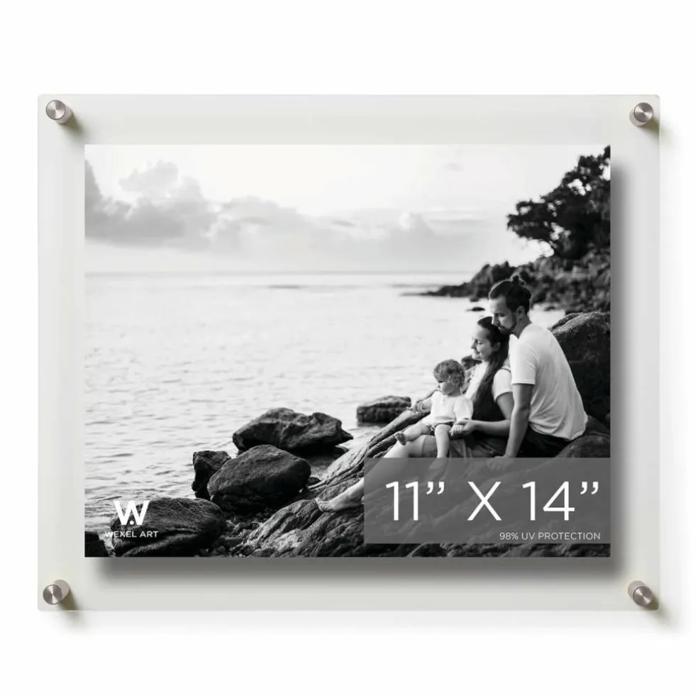 Wexel Art Double Panel Clear Acrylic Floating Wall Frame with Silver Hardware
