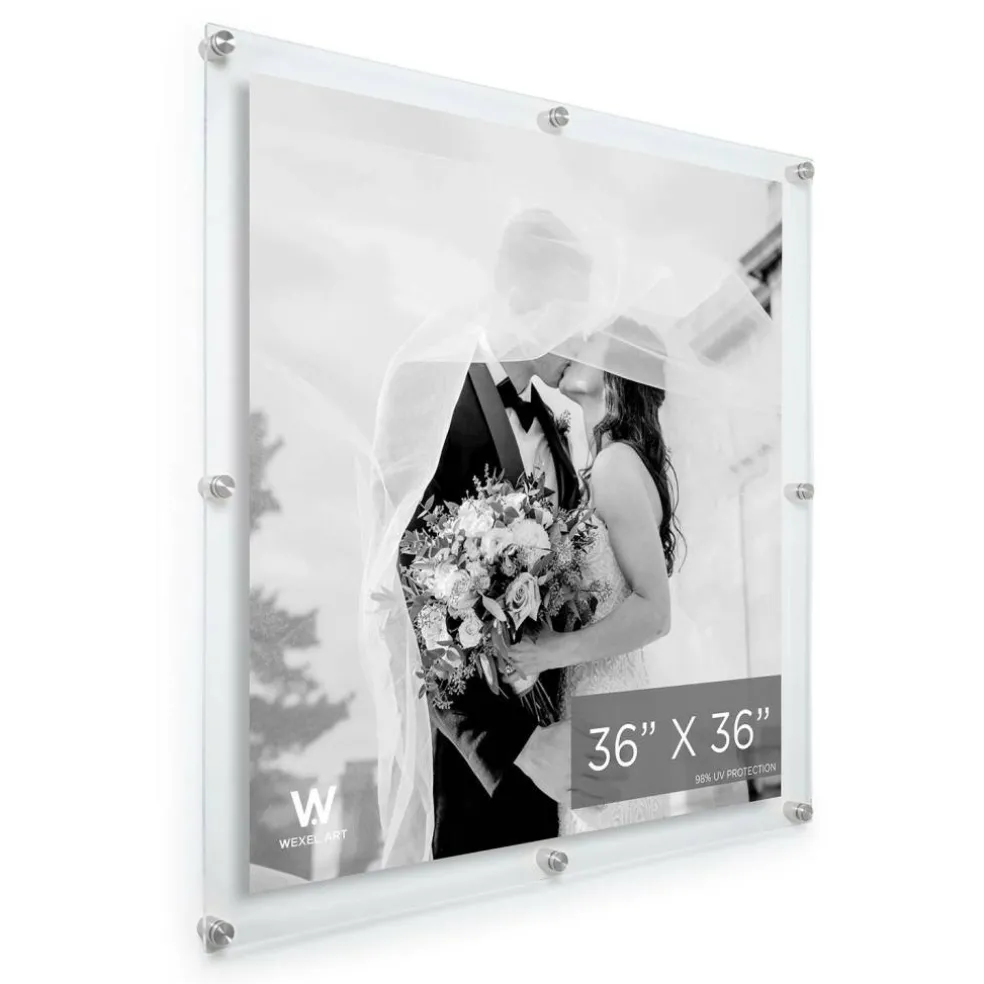 Wexel Art Double Panel Clear Acrylic Floating Wall Frame with Silver Hardware
