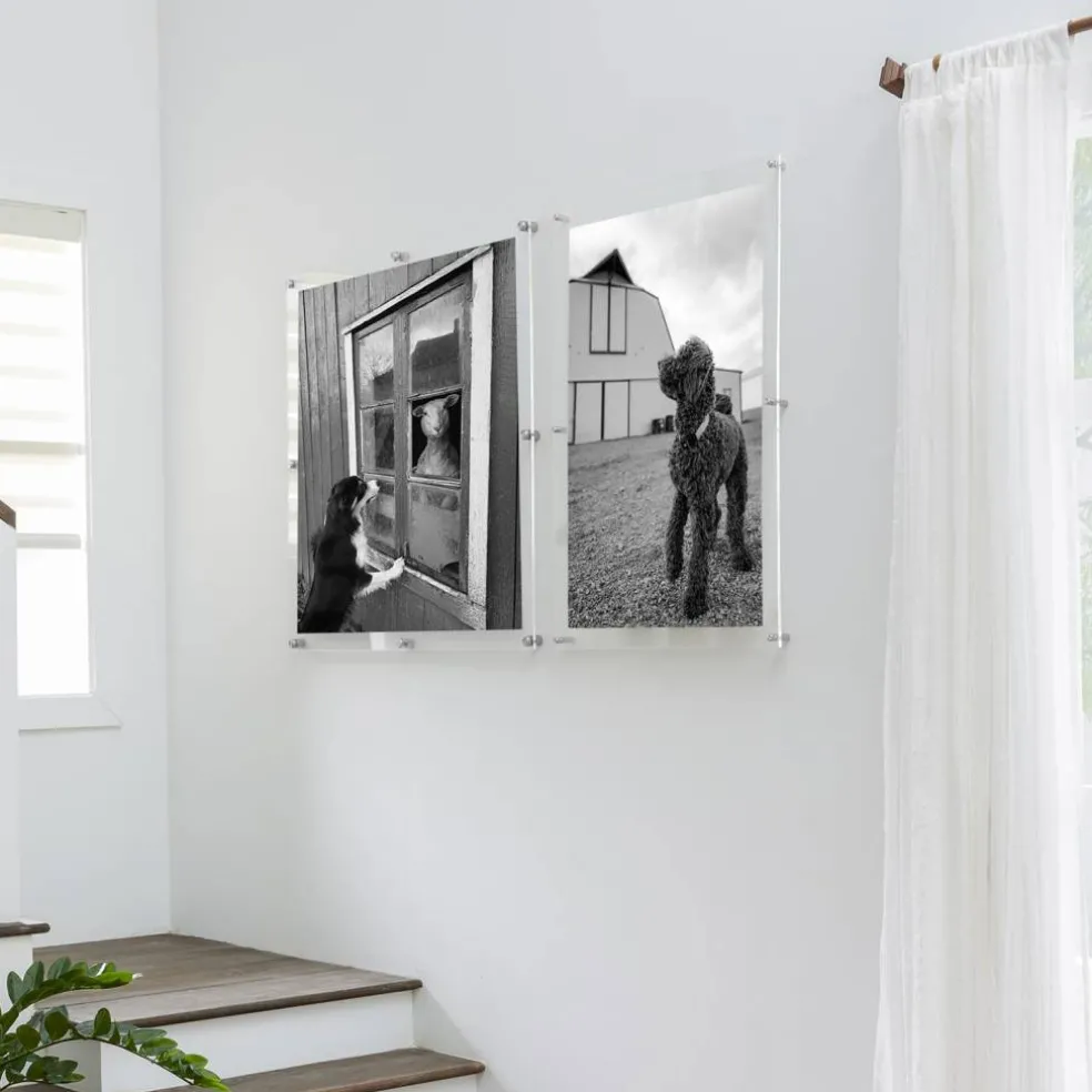 Wexel Art Double Panel Clear Acrylic Floating Wall Frame with Silver Hardware