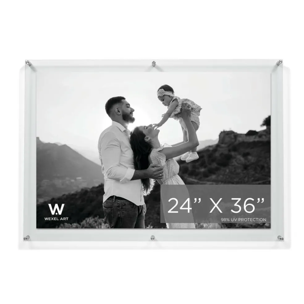 Wexel Art Double Panel Clear Acrylic Floating Wall Frame with Silver Hardware