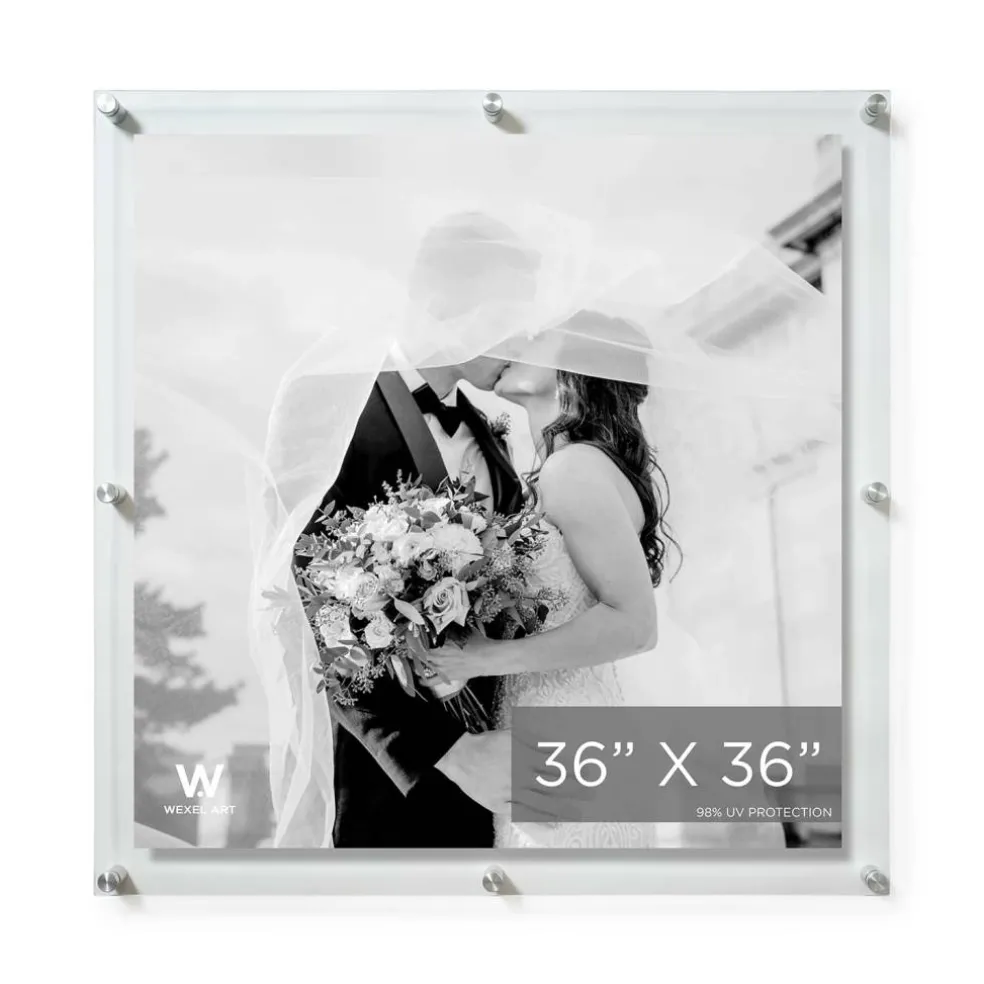 Wexel Art Double Panel Clear Acrylic Floating Wall Frame with Silver Hardware