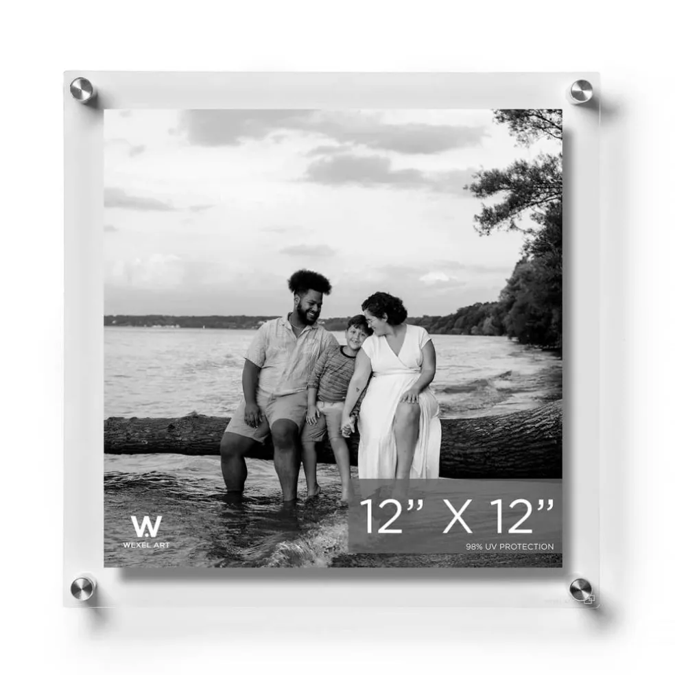 Wexel Art Double Panel Clear Acrylic Floating Wall Frame with Silver Hardware