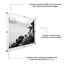 Wexel Art Double Panel Clear Acrylic Floating Wall Frame with Silver Hardware