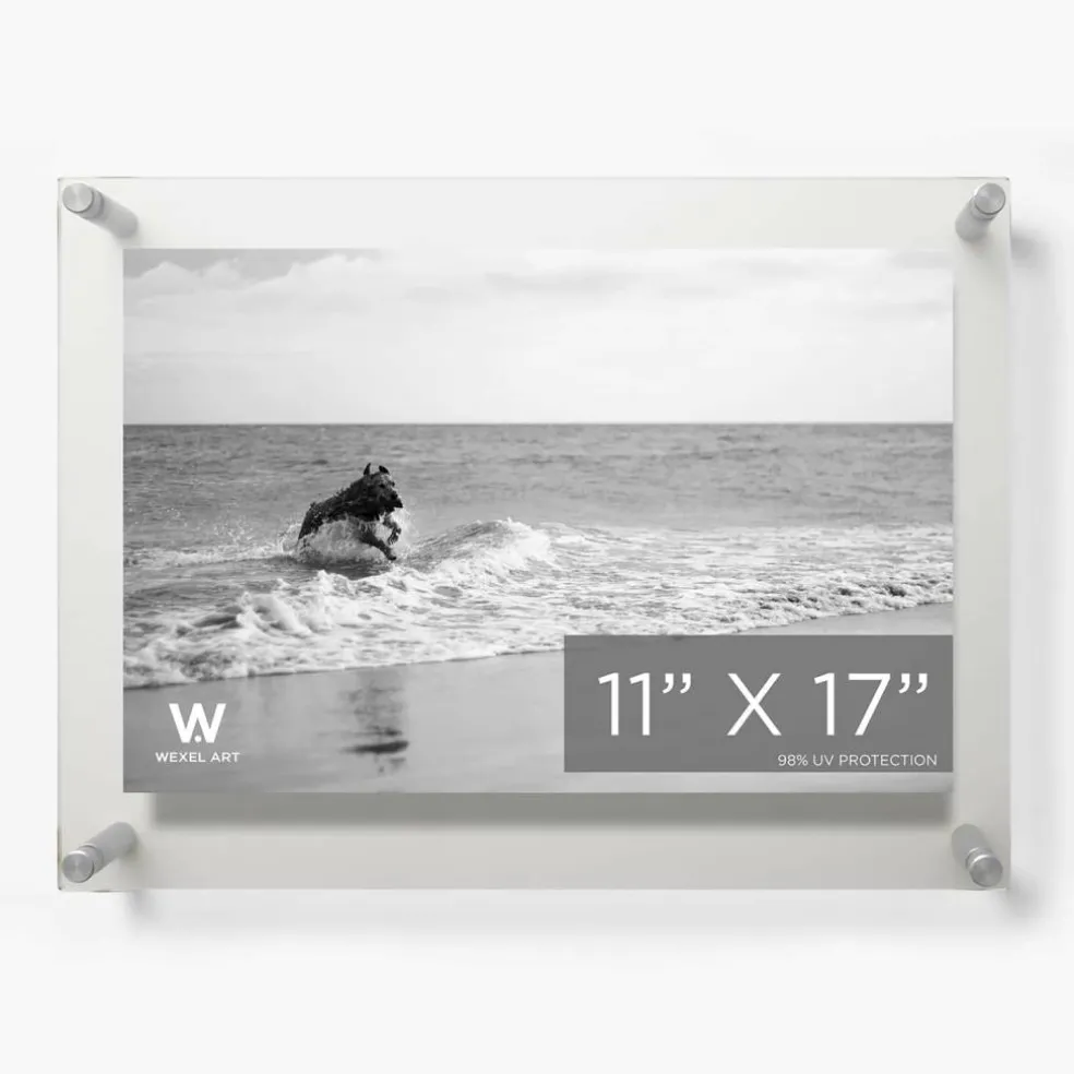 Wexel Art Double Panel Clear Acrylic Floating Wall Frame with Silver Hardware