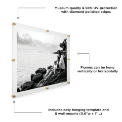 Wexel Art Double Panel Clear Acrylic Floating Wall Frame with Gold Hardware
