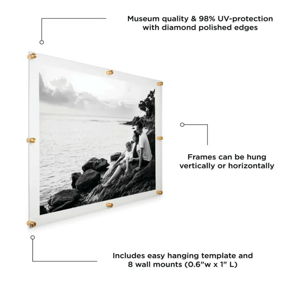 Wexel Art Double Panel Clear Acrylic Floating Wall Frame with Gold Hardware